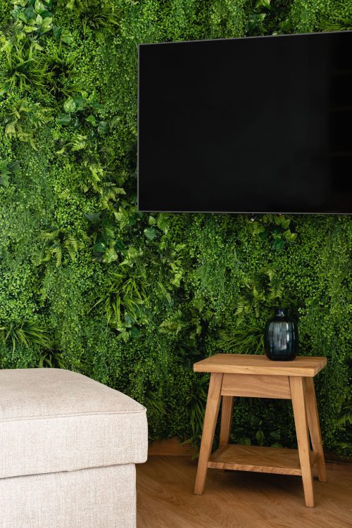 mały salon z kuchnią z zieloną ścianą